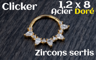 Clicker 1.2x8 Acier Dore - zircon serti