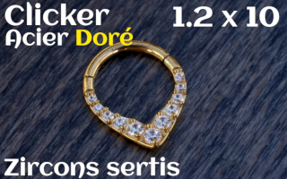 clicker 1.2x10 acier Dore zircon sertis