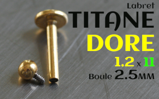 Labret 1.2x11 Titane doré - vissage interne - boule 2.5 mm