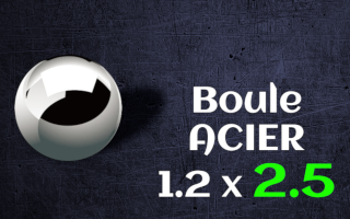 boules acier 316 1.2x2.5mm