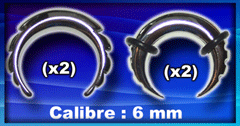 4 arcs acier (dentes et encoches) - calibre 6 mm - 2 models