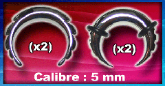 4 arcs acier (dentes et encoches) - calibre 5 mm - 2 models