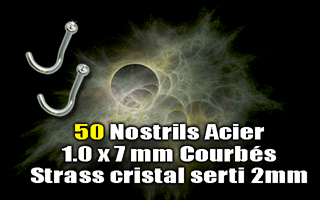 lot de 50 nostrils acier 1.0x7 courbes avec strass cristal serti - strass 1.8 mm