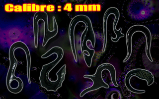 lot de 7 elargisseurs en cornes - diametre 4 mm - modeles selon photo.
