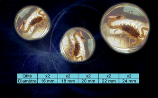 lot de 10 plugs plexy - scorpions veritables