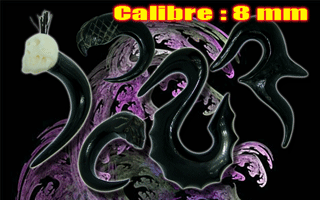 lot de 5 elargisseurs en corne - calibre 8 mm - modele selon photo