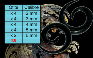 lot de 18 spiral elargisseur en corne