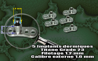 lot de 5 ancrages dermiques en titane grade 23- filetage interne 1.2 mm - calibre externe 1.6 mm - hauteur : 2.1 mm