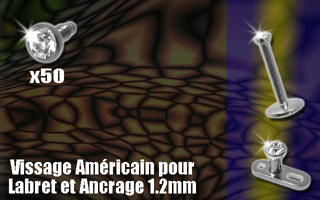 lot de 50 accessoires acier 316 vissables avec strass 2 mm sertis cristal. vissage americain pour labret ou ancrage 1.2 mm (0.8 interne)