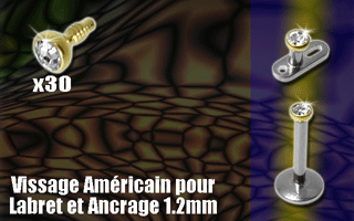 lot de 30 accessoires acier 316 anodise or vissables avec strass 2 mm sertis cristal. vissage americain pour labret ou ancrage 1.2 mm (0.8 interne)