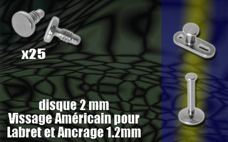 lot de 25 disques acier 316 - diametre 2 mm. vissage americain pour labret ou ancrage 1.2 mm (0.8 interne)