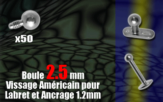 5 boules acier 316 - diametre 2.5 mm. vissage americain pour labret ou ancrage 1.2 mm (0.8 interne)