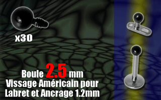 5 boules acier 316 anodise noir- diametre 2.5 mm. vissage americain pour labret ou ancrage 1.2 mm (0.8 interne)