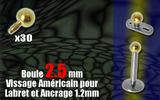 lot de 30 boules acier 316 anodise or- diametre 2.5 mm. vissage americain pour labret ou ancrage 1.2 mm (0.8 interne)