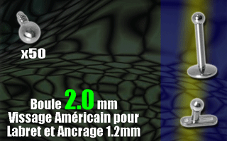 5 boules acier 316 - diametre 2.0 mm. vissage americain pour labret ou ancrage 1.2 mm (0.8 interne)