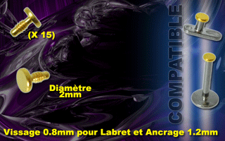 lot de 15 disque acier 316 anodise or - diametre 2 mm - vissage 0.8mm pour labret et dermal 1.2mm
