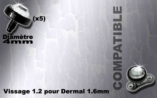 5 accessoire acier 316 anodise noir - strass cristal - 4 mm de diametre - vissage 1.2 mm compatbile pour dermal et labret 1.6 mm