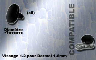 5 disques acier 316 anodise noir -4 mm de diametre - vissage 1.2 mm compatbile pour dermal et labret 1.6 mm
