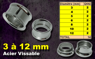 lot de 14 flesh tunnel acier vissable