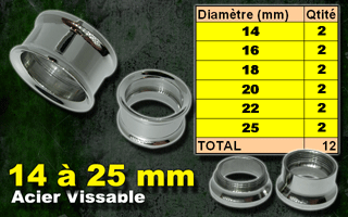 lot de 12 flesh tunnel acier vissables