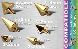 lot de 24 cones acier anodise or - vissage americain - pour dermal et labret interne 1.2 (1.0 interne). prenez soins de voir les articles compatibles a ce produit.