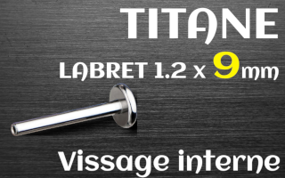 bases labret 1.2 x 9 - titane grade 23 - vissage interne - disque de base 4 mm