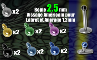 lot de 14 boules 2.5 acier anodise vissage americain