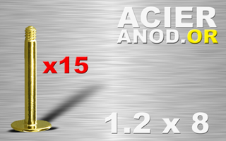 lot de 15 tiges labret acier anod. or 1.2 x 8 - disque de base 4 mm