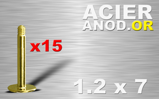 lot de 15 tiges labret acier anod. or 1.2 x 7 - disque de base 4 mm
