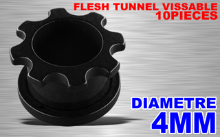 lot de 10 flesh tunnel acryliques vissables - 4 mm