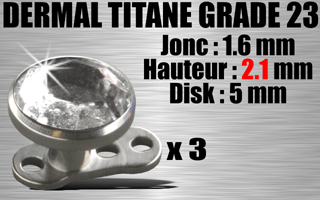 lot de 3 dermal titane grade 23 avec strass 5 mm - jonc : 1.6 mm exterieur (=1.2 interne) - hauteur : 2.1 mm