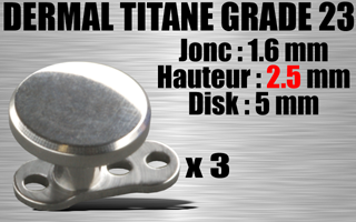 lot de 3 dermal titane grade 23 avec disque 5 mm - jonc : 1.6 mm exterieur (=1.2 interne)- hauteur : 2.5 mm