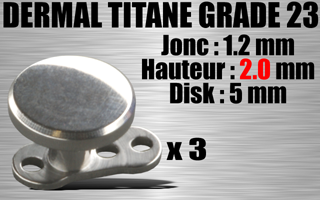 lot de 3 dermal titane grade 23 avec disque 5 mm - jonc : 1.2 mm exterieur (=0.8 interne) - hauteur : 2.0 mm