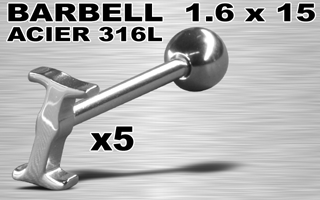 lot de 5 barbells acier 316