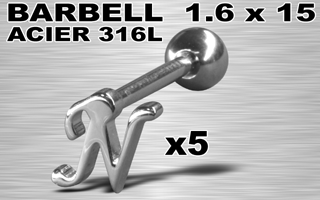 lot de 5 barbells acier 316