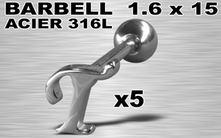 lot de 5 barbells acier 316