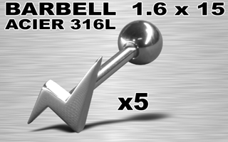 lot de 5 barbells acier 316