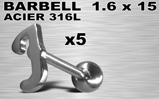 lot de 5 barbells acier 316