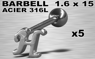 lot de 5 barbells acier 316