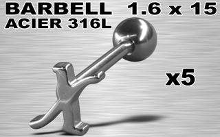 lot de 5 barbells acier 316