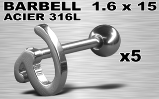 lot de 5 barbells acier 316