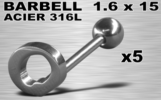 lot de 5 barbells acier 316
