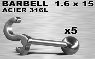 lot de 5 barbells acier 316