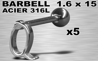 lot de 5 barbells acier 316