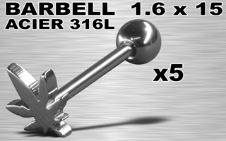 lot de 5 barbells acier 316