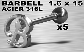 lot de 5 barbells acier 316