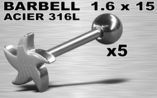 lot de 5 barbells acier 316