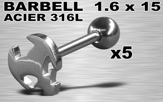 lot de 5 barbells acier 316