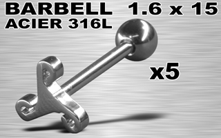 lot de 5 barbells acier 316