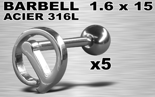 lot de 5 barbells acier 316